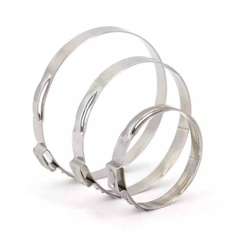 5-20 stuks 5,3-159 mm 304 roes - Hose Clamp Assorted recensie en prijs